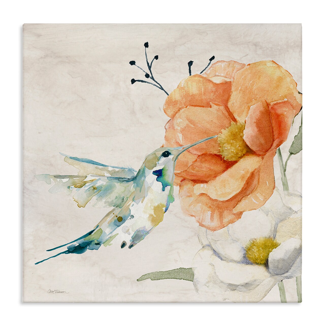 Stupell Industries Blossom & Hummingbird Canvas Wall Art Design by Carol Robinson